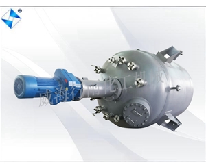 大型生產(chǎn)型反應(yīng)釜